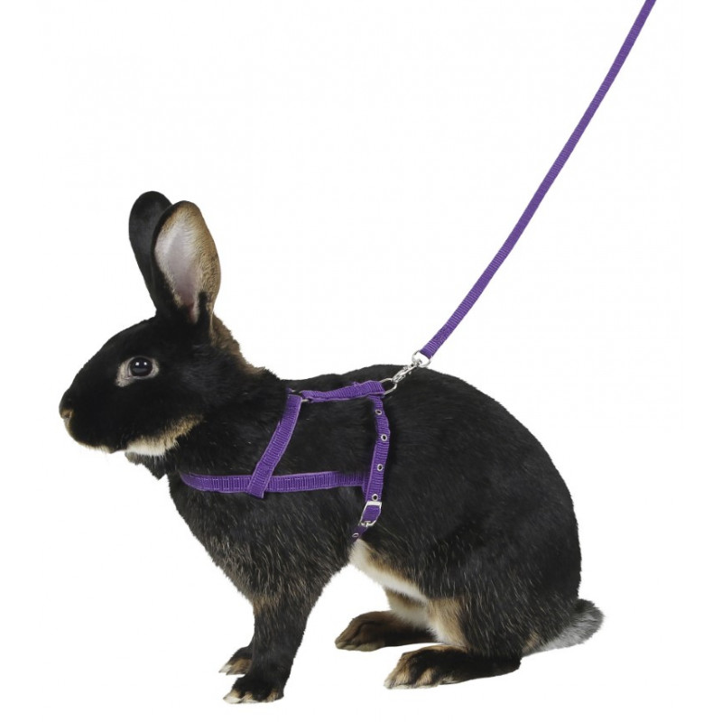 KERBL Uprząż dla królika, 21 - 35 cm, M [81760]