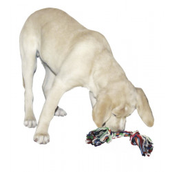 KERBL Gryzak z bawełny, 37 cm, 240 g [83470]