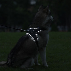 PETLOVE Szelki świecące LED dla psa S czarne [SZELLEDZSBK]